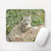 Foto Schnee Leopard Katze Tiere. Mousepad (Mit Mouse)