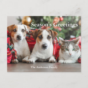 Foto Season's Greetings Holiday Postcard Feiertagspostkarte