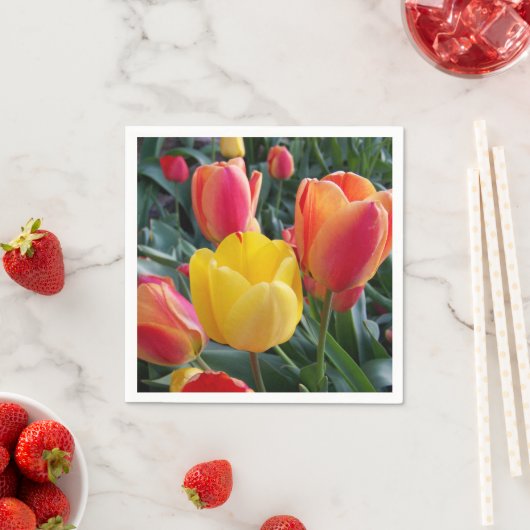 Foto Serviette (Beispiel)