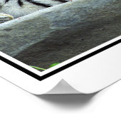 Foto Sibirier Poster (Ecke)