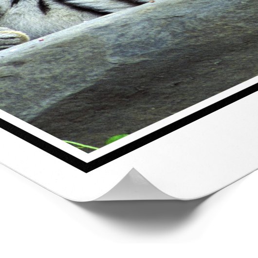 Foto Sibirier Poster (Ecke)