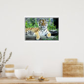 Foto Sibirier Poster (Küche)