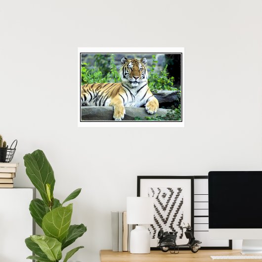 Foto Sibirier Poster (Heimbüro)