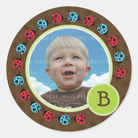 FOTO SIEGEL: Ladybird Kreis 1 Runder Aufkleber (Vorderseite)