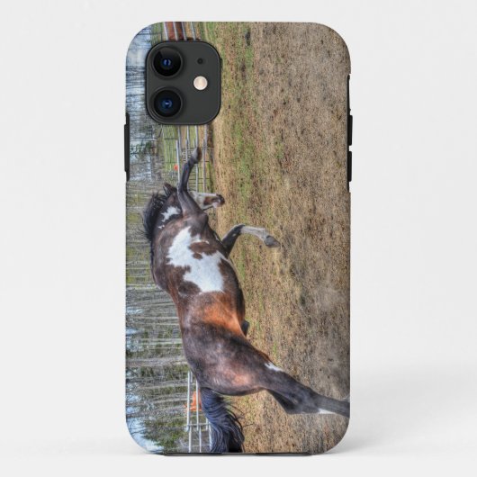 Foto "Spirale Pinto Stallion Equine Action" Case-Mate iPhone Hülle (Rückseite)