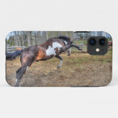 Foto "Spirale Pinto Stallion Equine Action" Case-Mate iPhone Hülle (Rückseite (Horizontal))