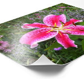Foto - Stargazer Lily (Ecke)