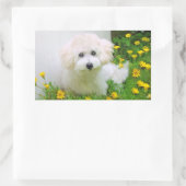 Foto Stickers (Tasche)