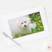 Foto Stickers (Umschlag)