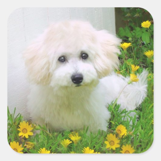 Foto Stickers (Vorderseite)