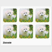 Foto Stickers (Blatt)