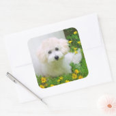 Foto Stickers (Umschlag)