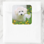 Foto Stickers (Tasche)