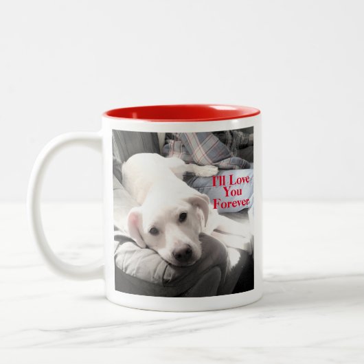 Foto Super Niedlicher Welpen Hund ewig Liebe Rot Zweifarbige Tasse (Links)