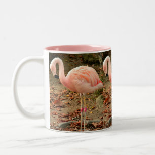 Foto-Tasse des Flamingo-3 Zweifarbige Tasse