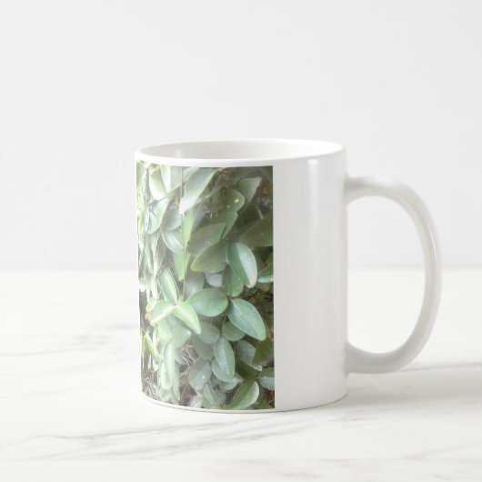 Foto-Tasse Kaffeetasse (Rechts)