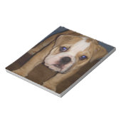 Foto Te, Vorlage Notepad Notizblock (Rotiert)