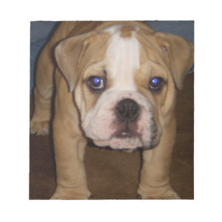 Foto Te, Vorlage Notepad Notizblock