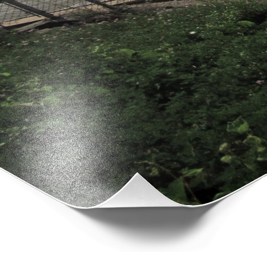 Foto "The Bridge to Dimension Zed" drucken (Ecke)