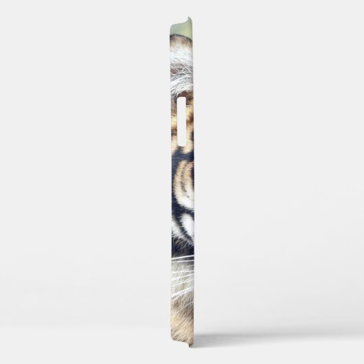 Foto , Tiere , Tiger , Tiger . Case-Mate iPhon Case-Mate iPhone Hülle (Rückseite / Rechts)