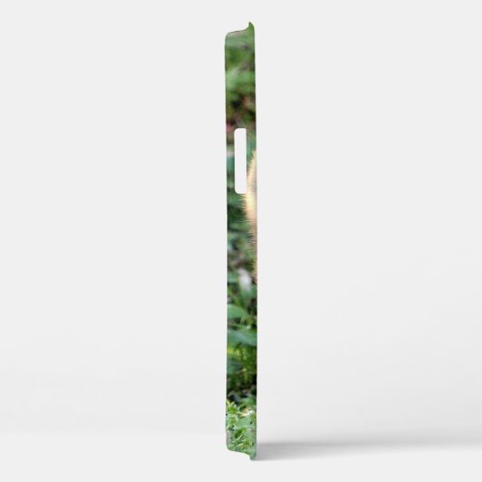 Foto , Tiere , Tiger , Tiger . Case-Mate iPhon Case-Mate iPhone Hülle (Rückseite / Rechts)