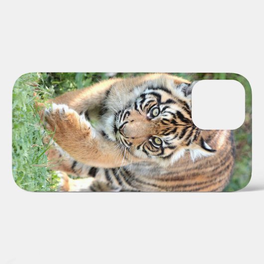 Foto , Tiere , Tiger , Tiger . Case-Mate iPhon Case-Mate iPhone Hülle (Rückseite (Horizontal))