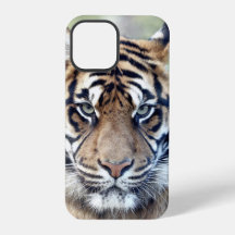 Foto , Tiere , Tiger , Tiger . Case-Mate iPhon