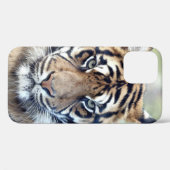 Foto , Tiere , Tiger , Tiger . Case-Mate iPhon iPhone Hülle (Rückseite (Horizontal))