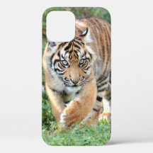 Foto , Tiere , Tiger , Tiger . Case-Mate iPhon