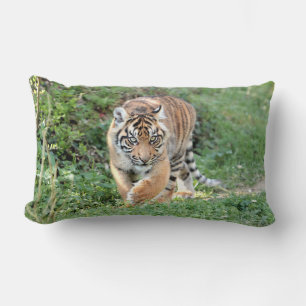 Foto Tiger Katze , Tiere . Kissen werfen