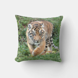 Foto Tiger , Katze , Tiere . Kissen werfen