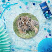 Foto Tiger, Tiere 0276. Pappteller (Party)