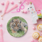 Foto Tiger, Tiere 0276. Pappteller (Party)