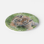 Foto Tiger, Tiere 0276. Pappteller (Schrägansicht)
