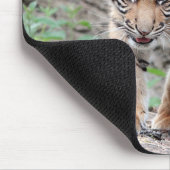 Foto Tigerkatzen Mousepad (Ecke)