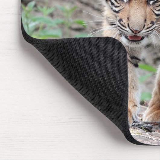 Foto Tigerkatzen Mousepad (Ecke)