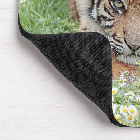 Foto Tigerkatzen Mousepad (Ecke)