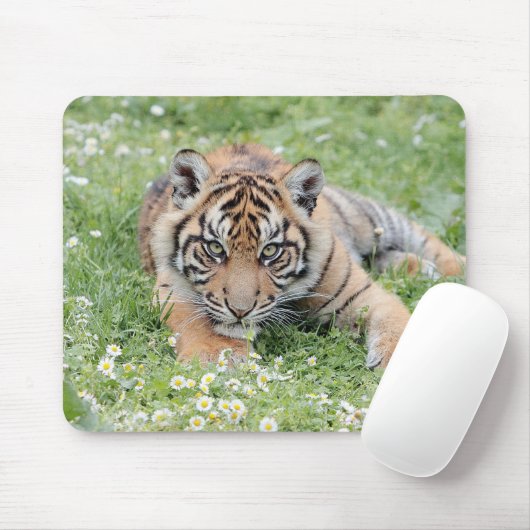 Foto Tigerkatzen Mousepad (Mit Mouse)