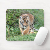 Foto Tigerkatzen Mousepad (Mit Mouse)