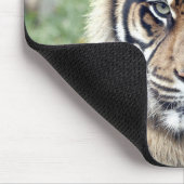Foto Tigerkatzen Mousepad (Ecke)