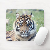 Foto Tigerkatzen Mousepad (Mit Mouse)