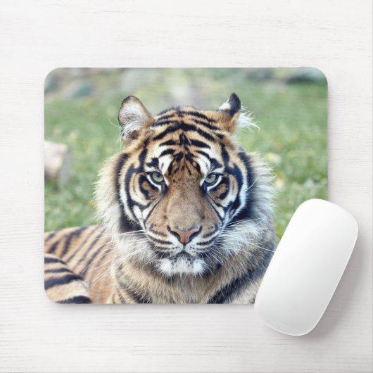 Foto Tigerkatzen Mousepad (Mit Mouse)