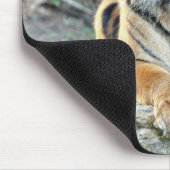 Foto Tigerkatzen Mousepad (Ecke)