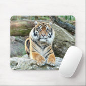 Foto Tigerkatzen Mousepad (Mit Mouse)