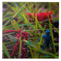 Foto-Tile der Keramik auf dem Rücken (6" x 6") anz