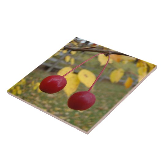 Foto Tile Fliese (Seite)