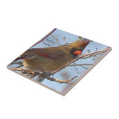 Foto Tile Nord Kardinal Fliese (Seite)