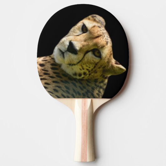 Foto Tischtennis Schläger (Vorderseite)
