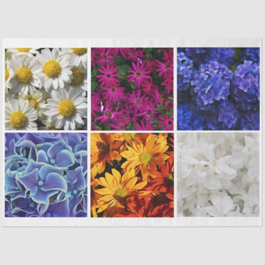 Foto Tissue Paper HAMbyWG Seidenpapier (Vorderseite)