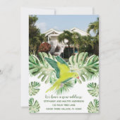 Foto Tropical Parrot Neue Ankündigung (Vorderseite)